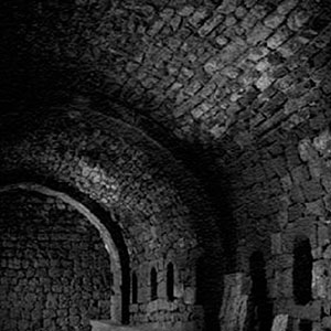 ... Я почувствовал себя дурно, без сомнения – вследствие сырости катакомб. Я поспешил окончить работу. Я сделал усилие и приладил последний камень; я его покрыл известкой. К новой стене я прислонил старую насыпь из костей. Прошло полвека, и ни один смертный их не тронул. IN PACE REQUIESCAT! (рус. Да упокоится с миром)