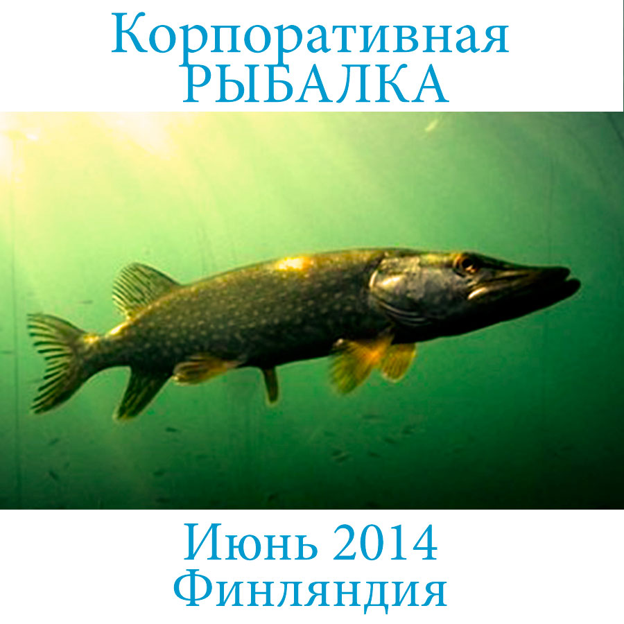 Корпоративная рыбалка «Вернисажа» июнь 2014 в Финляндии